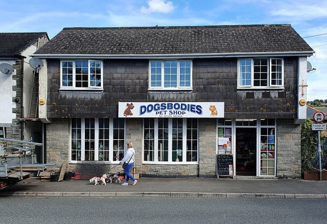 Representative photo: Dogsbodies pet shop, New Road, Callington, Cornwall - September 2024. Not this venue.