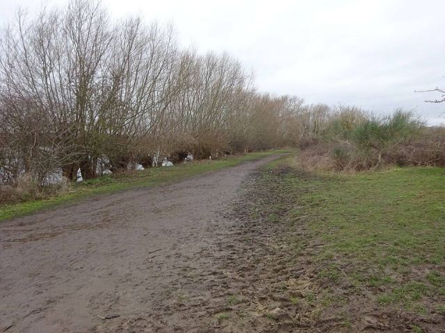 Representative photo: Burgess Field Nature Park path 3. Not this venue.