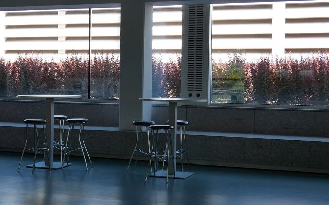 Representative photo: Bar interior. (43374719684). Not this venue.