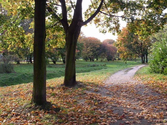 Representative photo: Tychy osiedle "A" Park Górniczy. Not this venue.