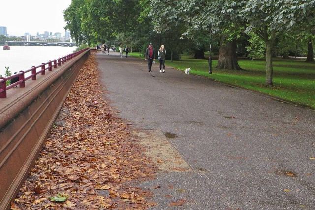 Representative photo: The Thames Path in Battersea Park - geograph.org.uk - 8149077. Not this venue.