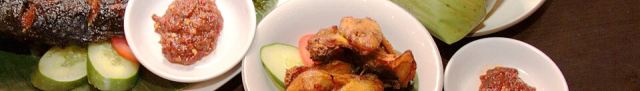 Representative photo: Indonesian Cuisine Banner 1. Not this venue.