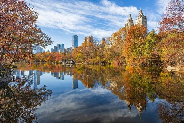 Representative photo: 2024-11-19-Central Park-0669. Not this venue.
