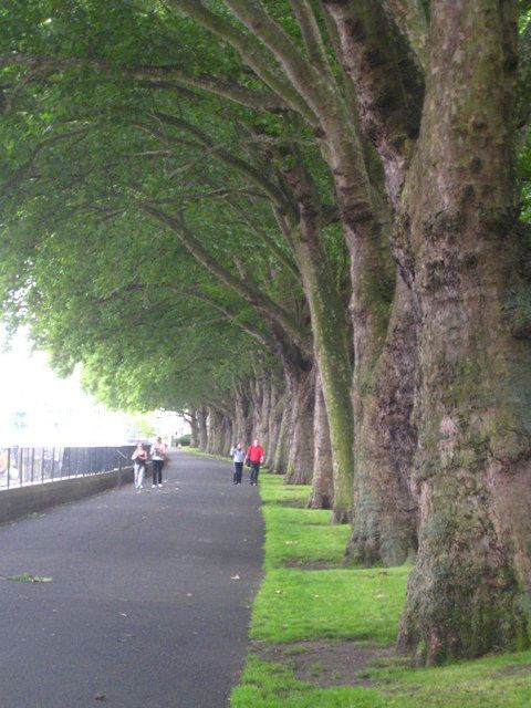 Representative photo: The Thames Path at Wandsworth Park - geograph.org.uk - 2491716. Not this venue.