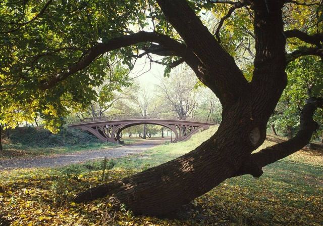 Representative photo: Central Park New York City New York 23 cropped. Not this event.