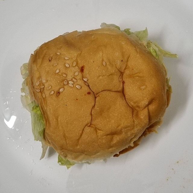 Representative photo: Burger from Kerala 01. Not this venue.