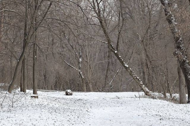 Representative photo: Path in the park 21. Not this venue.