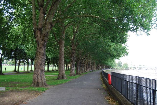Representative photo: Thames Path in Wandsworth Park - geograph.org.uk - 2102212. Not this venue.