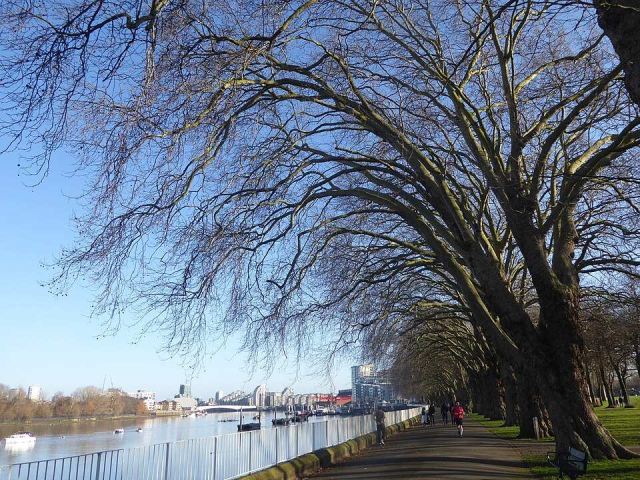 Representative photo: The Thames Path in Wandsworth Park - geograph.org.uk - 6374858. Not this venue.