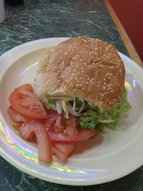 Representative photo: Vegetarian hamburger Mexican food 20260707 203916 (2). Not this venue.