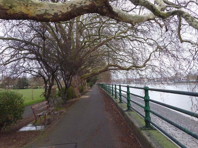 Representative photo: Thames Path alongside Bishop's Park - geograph.org.uk - 6028017. Not this venue.