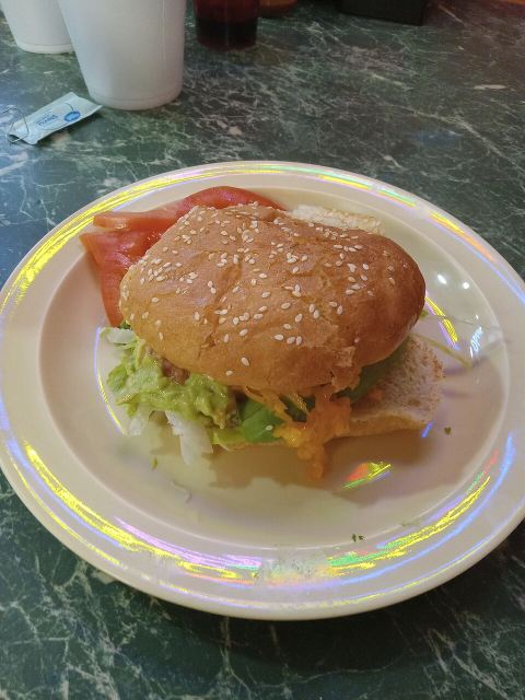 Representative photo: Vegetarian hamburger Mexican food 20260707 203916 (1). Not this venue.