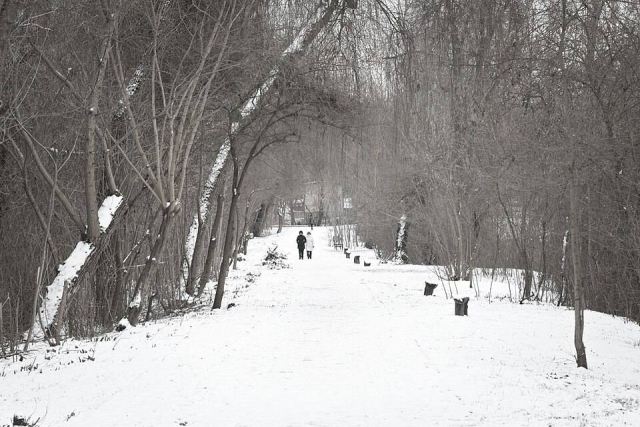 Representative photo: Path in the park 02. Not this venue.