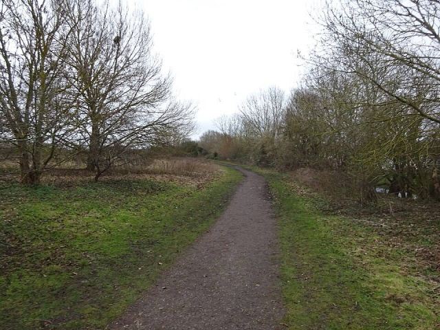 Representative photo: Burgess Field Nature Park path 1. Not this venue.