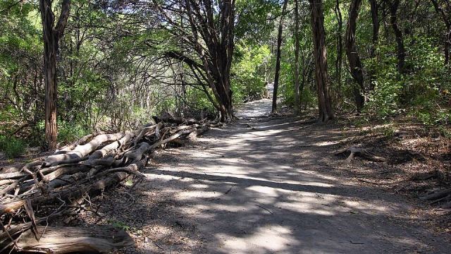 Trail Walnut Creek Metro Park Austin Texas 2022
