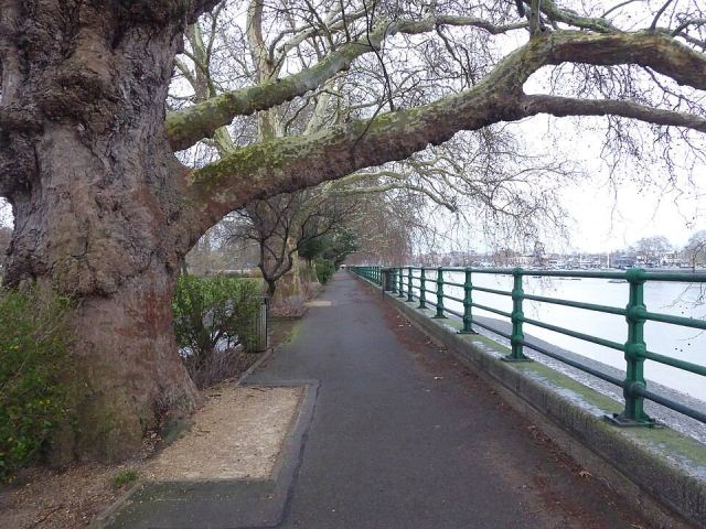 Representative photo: Thames Path alongside Bishop's Park - geograph.org.uk - 6028018. Not this venue.