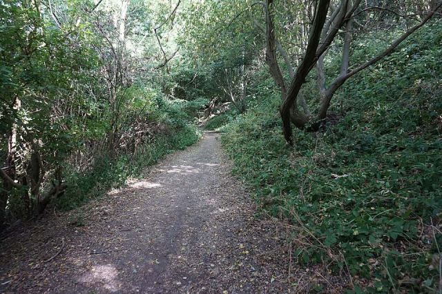 Representative photo: Path in Sugarwell Hill Park, Leeds - geograph.org.uk - 5842965. Not this venue.