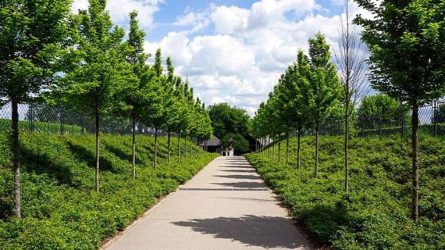 Representative photo: Niepołomickie Błonia Park, walking path, Niepołomice, Poland. Not this venue.