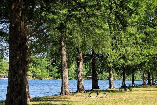 Emma long park shoreline 2014