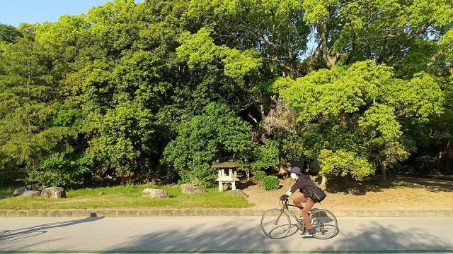 Representative photo: Ōhori Park Loop Path The cyclist path Ōhorikōen Chūō-ku Fukuoka 20260518 173226. Not this venue.