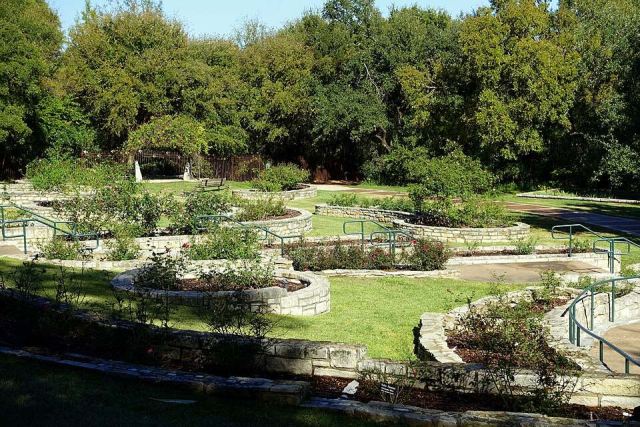 Mabel Davis Rose Garden - Zilker Botanical Garden - Austin, Texas - DSC08873