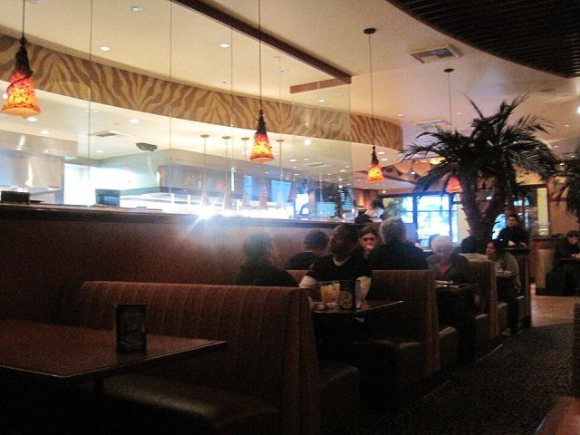 Representative photo: Elephant Bar, Serramonte interior 2. Not this venue.