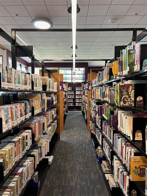 Representative photo: Library bookshelves. Not this event.