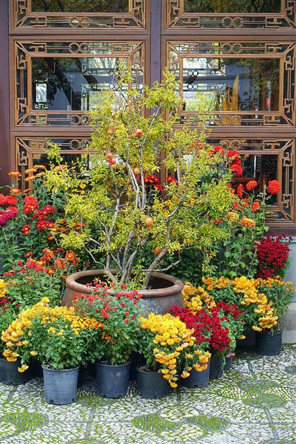 Representative photo: Flowering plants. Not this venue.