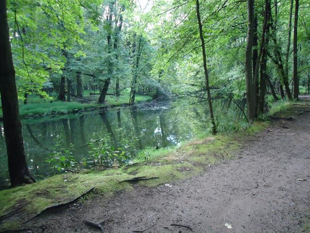 Representative photo: Park and paths. Not this venue.