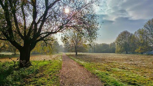 Representative photo: Park and paths. Not this venue.
