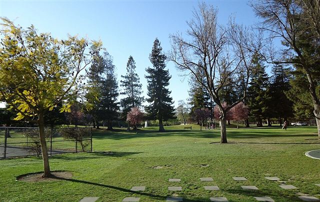 Representative photo: Green lawn and trees in a park. Not this venue.
